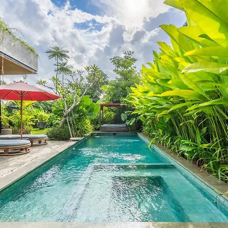 5 Bedroom Retreat Villa - Beach Access